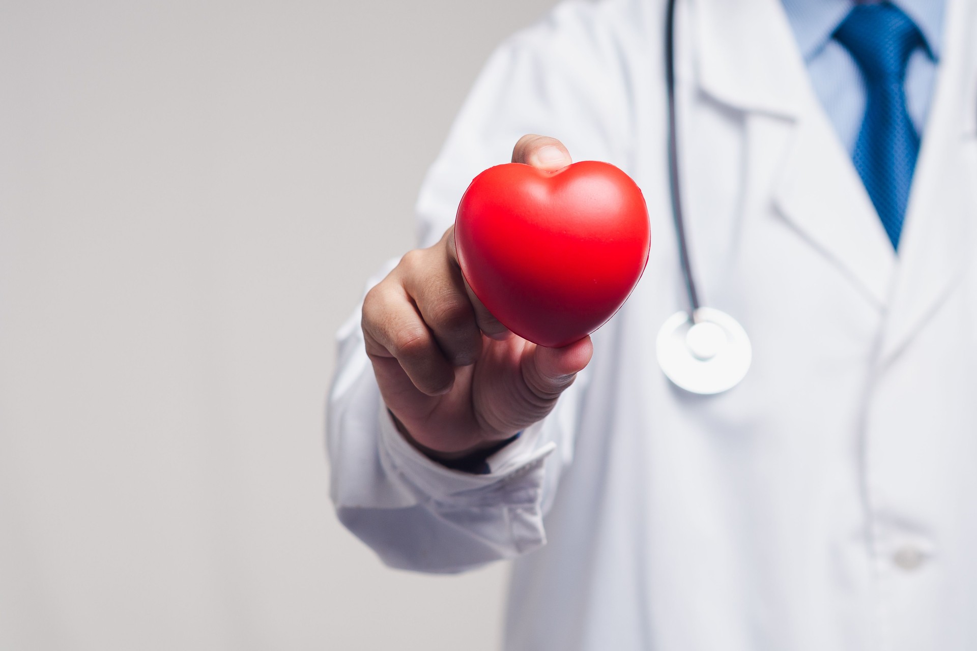 Doctor holding red heart symbol for cardiology, healthcare and heart disease awareness concept.